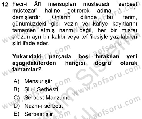 2. Meşrutiyet Dönemi Türk Edebiyatı Dersi 2021 - 2022 Yılı Yaz Okulu Sınavı 12. Soru