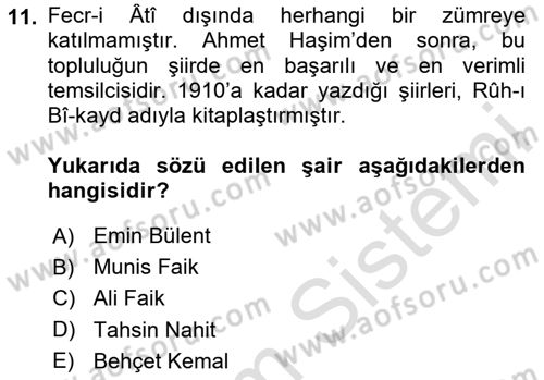 2. Meşrutiyet Dönemi Türk Edebiyatı Dersi 2024 - 2025 Yılı (Vize) Ara Sınav Soruları 11. Soru