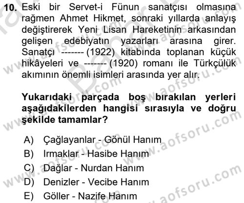 2. Meşrutiyet Dönemi Türk Edebiyatı Dersi 2024 - 2025 Yılı (Final) Dönem Sonu Sınav Soruları 10. Soru