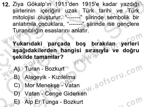 2. Meşrutiyet Dönemi Türk Edebiyatı Dersi 2024 - 2025 Yılı (Final) Dönem Sonu Sınav Soruları 12. Soru