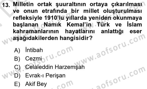 2. Meşrutiyet Dönemi Türk Edebiyatı Dersi 2024 - 2025 Yılı (Final) Dönem Sonu Sınav Soruları 13. Soru