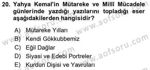 2. Meşrutiyet Dönemi Türk Edebiyatı Dersi 2024 - 2025 Yılı (Final) Dönem Sonu Sınav Soruları 20. Soru