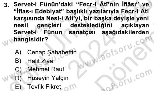 2. Meşrutiyet Dönemi Türk Edebiyatı Dersi 2024 - 2025 Yılı (Final) Dönem Sonu Sınav Soruları 3. Soru