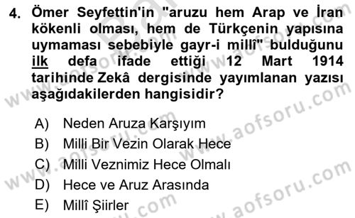 2. Meşrutiyet Dönemi Türk Edebiyatı Dersi 2024 - 2025 Yılı (Final) Dönem Sonu Sınav Soruları 4. Soru