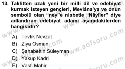 2. Meşrutiyet Dönemi Türk Edebiyatı Dersi 2024 - 2025 Yılı Yaz Okulu Sınav Soruları 13. Soru