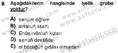 XVI-XIX. Yüzyıllar Türk Dili Dersi 2013 - 2014 Yılı (Final) Dönem Sonu Sınav Soruları 9. Soru
