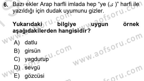 XVI-XIX. Yüzyıllar Türk Dili Dersi 2022 - 2023 Yılı (Final) Dönem Sonu Sınav Soruları 6. Soru