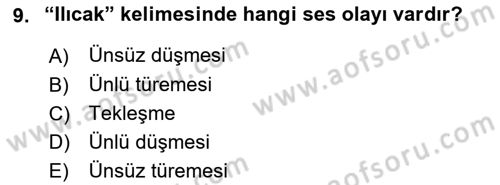 XVI-XIX. Yüzyıllar Türk Dili Dersi 2023 - 2024 Yılı Yaz Okulu Sınav Soruları 9. Soru