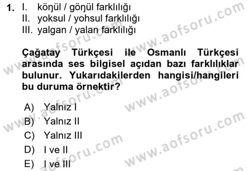 XVI-XIX. Yüzyıllar Türk Dili Dersi Ara Sınavı Deneme Sınav Soruları 1. Soru