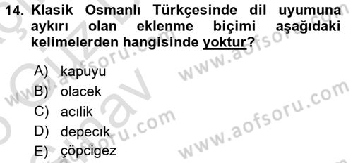 XVI-XIX. Yüzyıllar Türk Dili Dersi Ara Sınavı Deneme Sınav Soruları 14. Soru