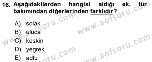 XVI-XIX. Yüzyıllar Türk Dili Dersi 2024 - 2025 Yılı (Vize) Ara Sınav Soruları 16. Soru