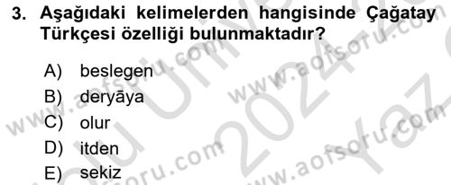 XVI-XIX. Yüzyıllar Türk Dili Dersi 2024 - 2025 Yılı Yaz Okulu Sınav Soruları 3. Soru