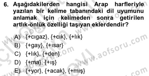 XVI-XIX. Yüzyıllar Türk Dili Dersi 2024 - 2025 Yılı Yaz Okulu Sınav Soruları 6. Soru