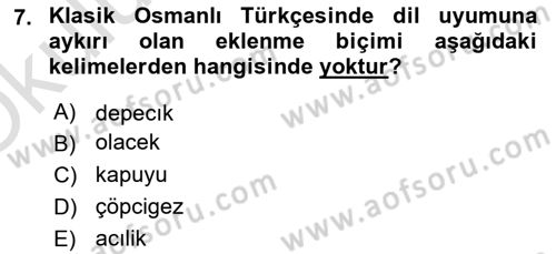 XVI-XIX. Yüzyıllar Türk Dili Dersi 2024 - 2025 Yılı Yaz Okulu Sınav Soruları 7. Soru