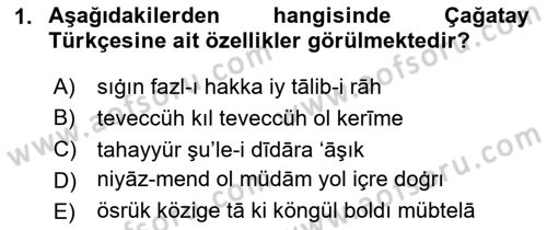 XVI-XIX. Yüzyıllar Türk Dili Dersi 2025 - 2026 Yılı (Vize) Ara Sınav Soruları 1. Soru