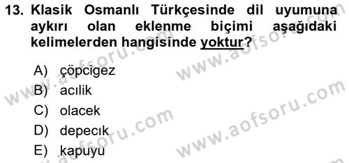 XVI-XIX. Yüzyıllar Türk Dili Dersi 2025 - 2026 Yılı (Vize) Ara Sınav Soruları 13. Soru
