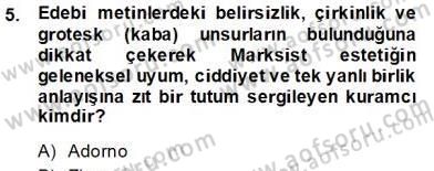 Eleştiri Kuramları Dersi 2012 - 2013 Yılı (Final) Dönem Sonu Sınav Soruları 5. Soru