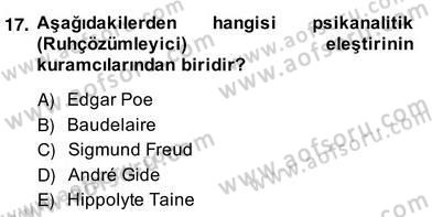 Eleştiri Kuramları Dersi 2013 - 2014 Yılı (Vize) Ara Sınav Soruları 17. Soru