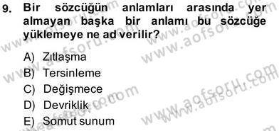 Eleştiri Kuramları Dersi 2013 - 2014 Yılı (Vize) Ara Sınav Soruları 9. Soru