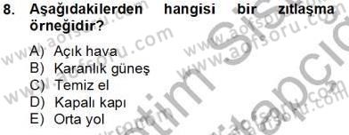 Eleştiri Kuramları Dersi 2013 - 2014 Yılı Tek Ders Sınav Soruları 8. Soru