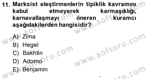 Eleştiri Kuramları Dersi 2014 - 2015 Yılı Tek Ders Sınavı 11. Soru