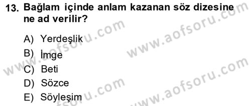 Eleştiri Kuramları Dersi 2014 - 2015 Yılı Tek Ders Sınavı 13. Soru