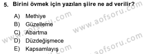 Eleştiri Kuramları Dersi 2015 - 2016 Yılı (Vize) Ara Sınav Soruları 5. Soru