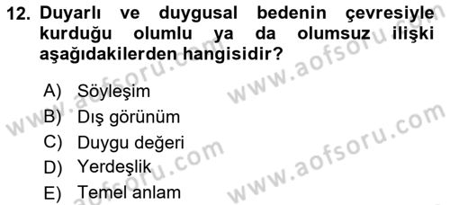 Eleştiri Kuramları Dersi 2015 - 2016 Yılı (Final) Dönem Sonu Sınav Soruları 12. Soru