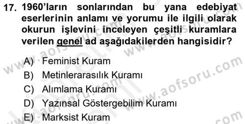 Eleştiri Kuramları Dersi 2015 - 2016 Yılı Tek Ders Sınav Soruları 17. Soru