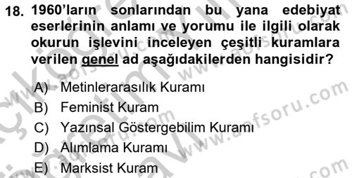 Eleştiri Kuramları Dersi 2016 - 2017 Yılı 3 Ders Sınav Soruları 18. Soru