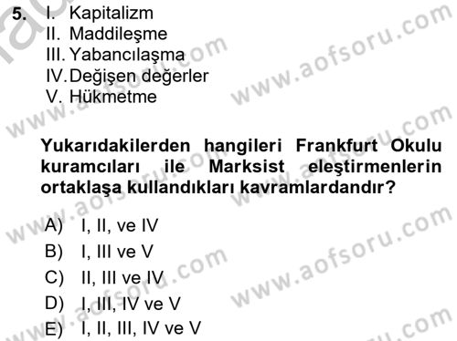 Eleştiri Kuramları Dersi 2016 - 2017 Yılı 3 Ders Sınav Soruları 5. Soru