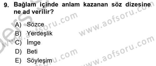 Eleştiri Kuramları Dersi 2016 - 2017 Yılı 3 Ders Sınav Soruları 9. Soru