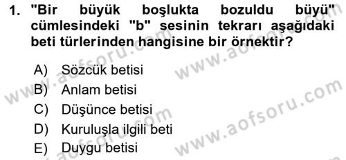 Eleştiri Kuramları Dersi 2016 - 2017 Yılı (Vize) Ara Sınav Soruları 1. Soru