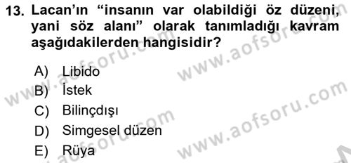 Eleştiri Kuramları Dersi 2016 - 2017 Yılı (Vize) Ara Sınav Soruları 13. Soru
