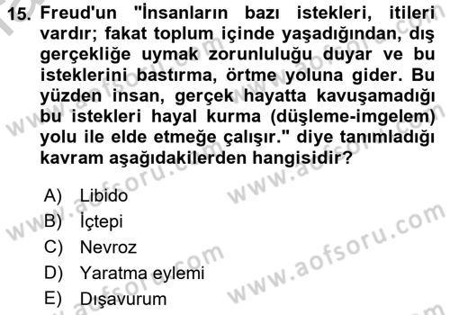 Eleştiri Kuramları Dersi 2016 - 2017 Yılı (Vize) Ara Sınav Soruları 15. Soru