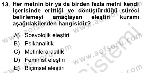 Eleştiri Kuramları Dersi 2016 - 2017 Yılı (Final) Dönem Sonu Sınav Soruları 13. Soru