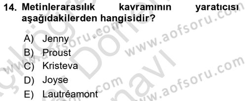 Eleştiri Kuramları Dersi 2016 - 2017 Yılı (Final) Dönem Sonu Sınav Soruları 14. Soru
