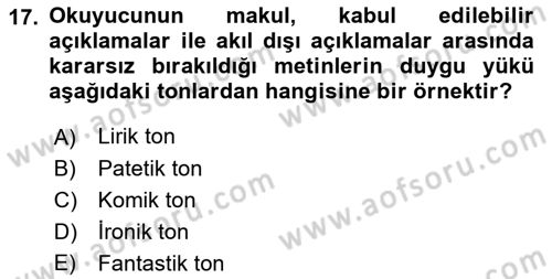 Eleştiri Kuramları Dersi 2016 - 2017 Yılı (Final) Dönem Sonu Sınav Soruları 17. Soru