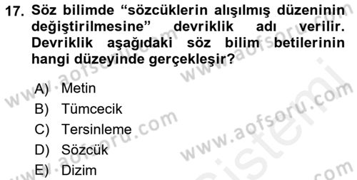 Eleştiri Kuramları Dersi 2017 - 2018 Yılı 3 Ders Sınav Soruları 17. Soru