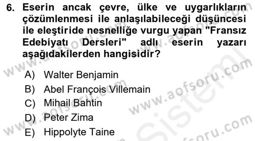 Eleştiri Kuramları Dersi 2017 - 2018 Yılı 3 Ders Sınav Soruları 6. Soru