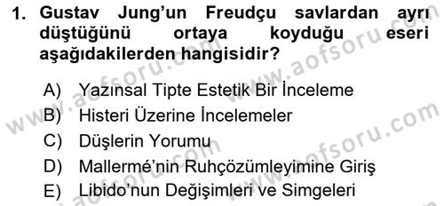 Eleştiri Kuramları Dersi 2017 - 2018 Yılı (Final) Dönem Sonu Sınav Soruları 1. Soru