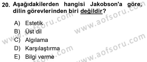 Eleştiri Kuramları Dersi 2017 - 2018 Yılı (Final) Dönem Sonu Sınav Soruları 20. Soru