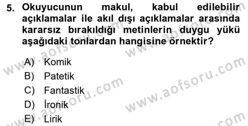 Eleştiri Kuramları Dersi 2017 - 2018 Yılı (Final) Dönem Sonu Sınav Soruları 5. Soru
