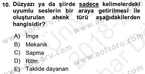 Eleştiri Kuramları Dersi 2018 - 2019 Yılı (Vize) Ara Sınav Soruları 10. Soru