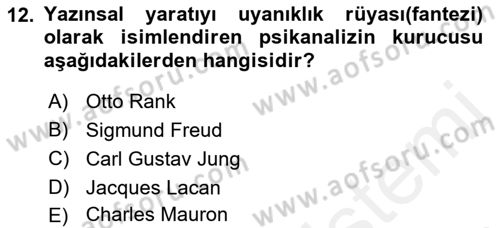 Eleştiri Kuramları Dersi 2018 - 2019 Yılı (Vize) Ara Sınav Soruları 12. Soru