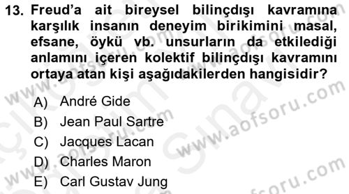 Eleştiri Kuramları Dersi 2018 - 2019 Yılı (Vize) Ara Sınav Soruları 13. Soru