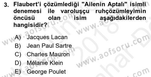 Eleştiri Kuramları Dersi 2018 - 2019 Yılı (Vize) Ara Sınav Soruları 3. Soru