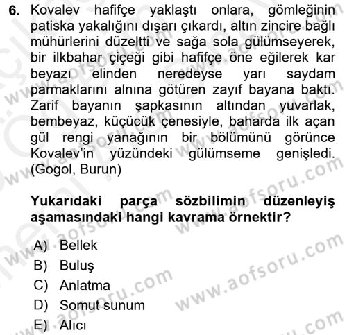 Eleştiri Kuramları Dersi 2018 - 2019 Yılı (Vize) Ara Sınav Soruları 6. Soru