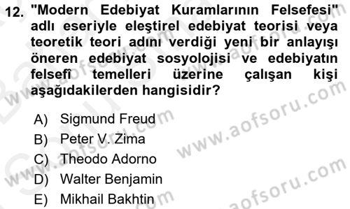 Eleştiri Kuramları Dersi 2018 - 2019 Yılı (Final) Dönem Sonu Sınav Soruları 12. Soru