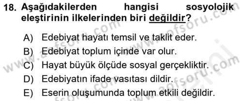 Eleştiri Kuramları Dersi 2018 - 2019 Yılı (Final) Dönem Sonu Sınav Soruları 18. Soru